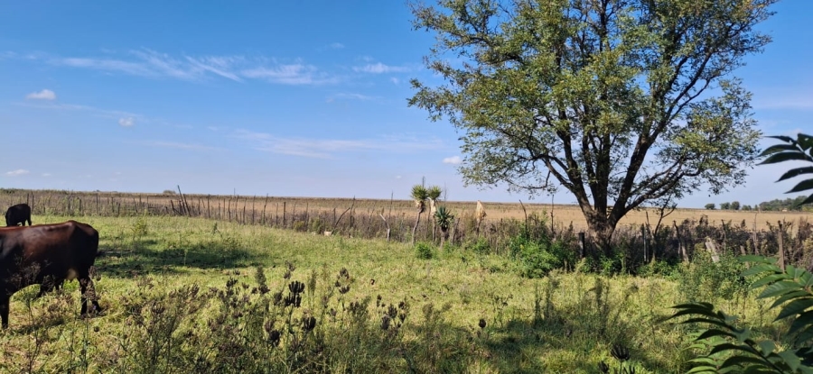 4 Bedroom Property for Sale in Deneysville Free State
